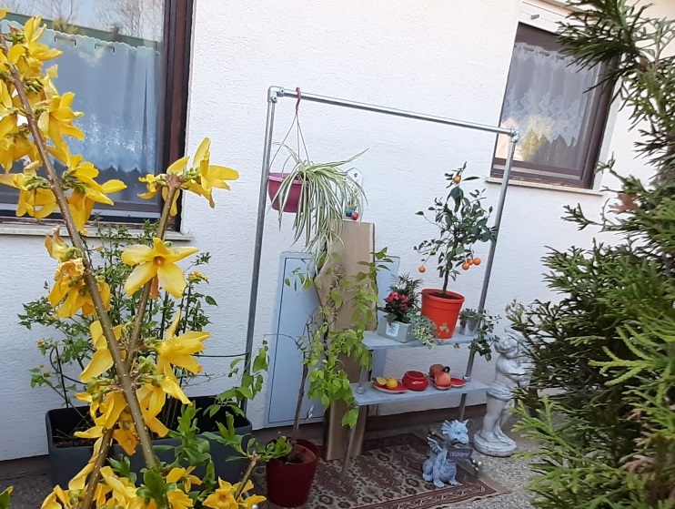 Cali4Store-A02-Garten